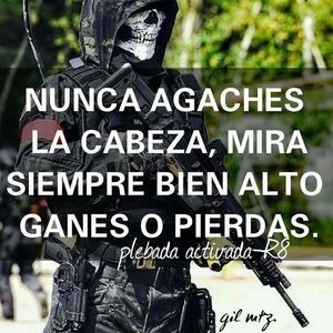 Meet your Posher, Jose